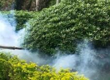 四害消殺完成后，需要做哪些鞏固工作呢？